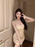 Chic Long - Sleeve Sheer Mesh Ruched Bodycon Mini Dress