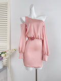 Rose Waist Long Sleeves Pink One-Shoulder Dress