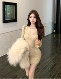 Elegant Long - Sleeve Beige Lace Bodycon Mini Dress