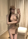 Stylish Cut - out Bodice Nude Floral Lace Bodycon Dress