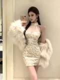 Elegant High - neck Sheer Mesh Lace Bodycon Mini Dress