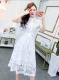 New Pleated Stand Collar Short Sleeve Single Breasted Polka Dot Lace Dress